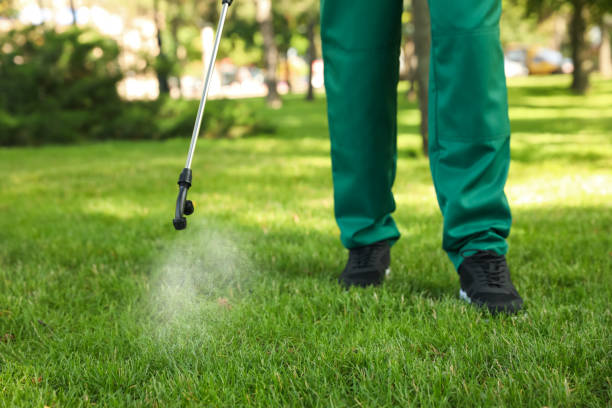 Best Mosquito Control Services  in Stony Point, NC