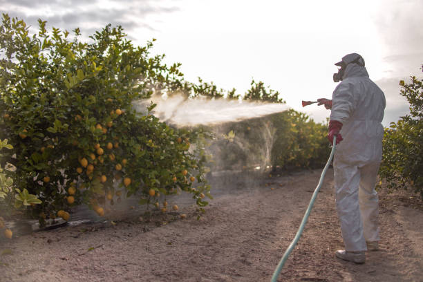  Stony Point, NC Pest Control Pros