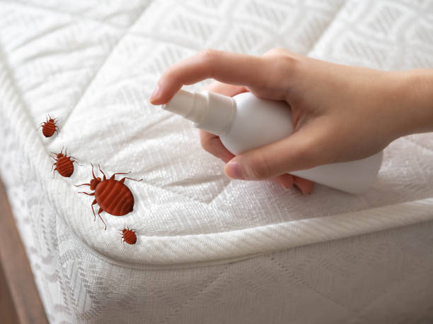 Trusted Stony Point, NC Pest Control Experts