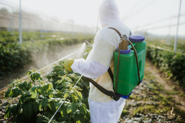 Best Cockroach Control Services  in Stony Point, NC